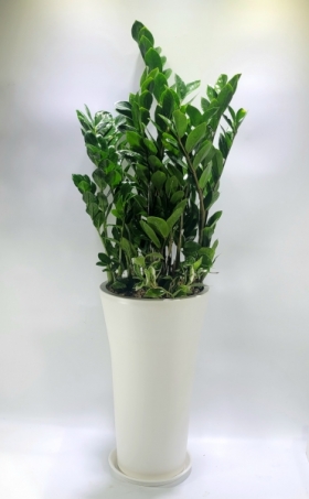 �󼼳��뺸��